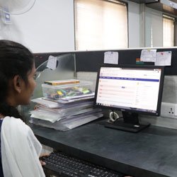 Business_Team_single